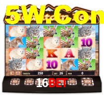 16Bet,16Bet App